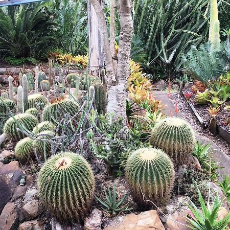 Ancient Gardens Guesthouse & Botanical Gardens Eudlo Exteriör bild